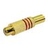 Plug-Jack-RCA-Femea-6mm-Dourado-Vermelho-2